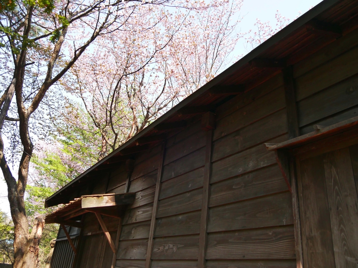f:id:tamayoshi:20190505174858j:plain