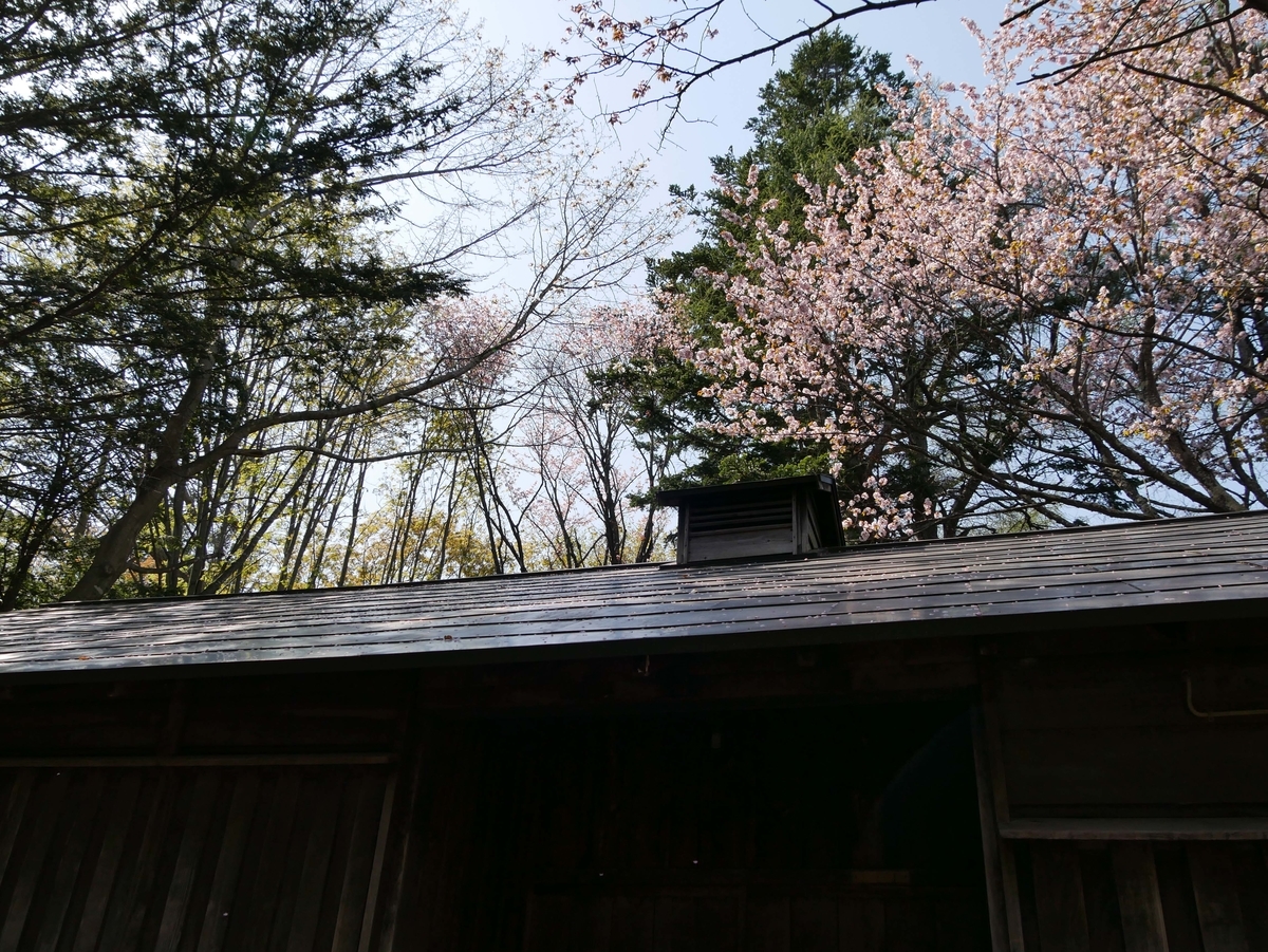 f:id:tamayoshi:20190505174929j:plain