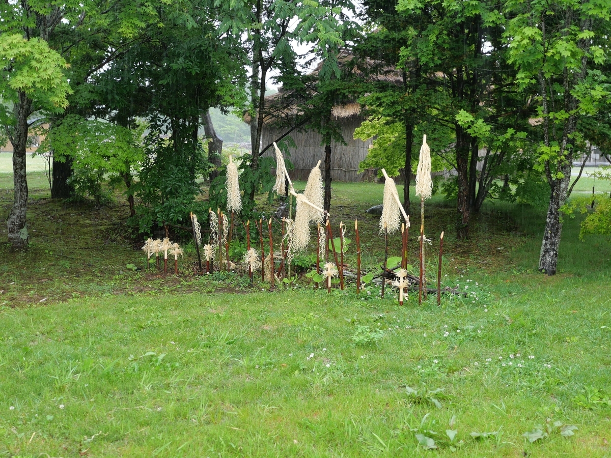 f:id:tamayoshi:20190629160348j:plain