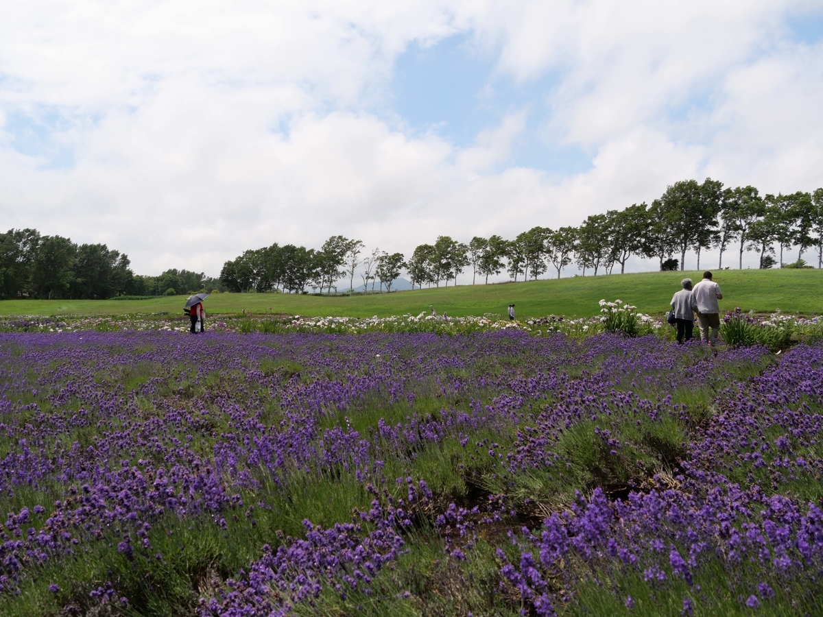 f:id:tamayoshi:20190723205931j:plain f:id:tamayoshi:20190723205931j:plain