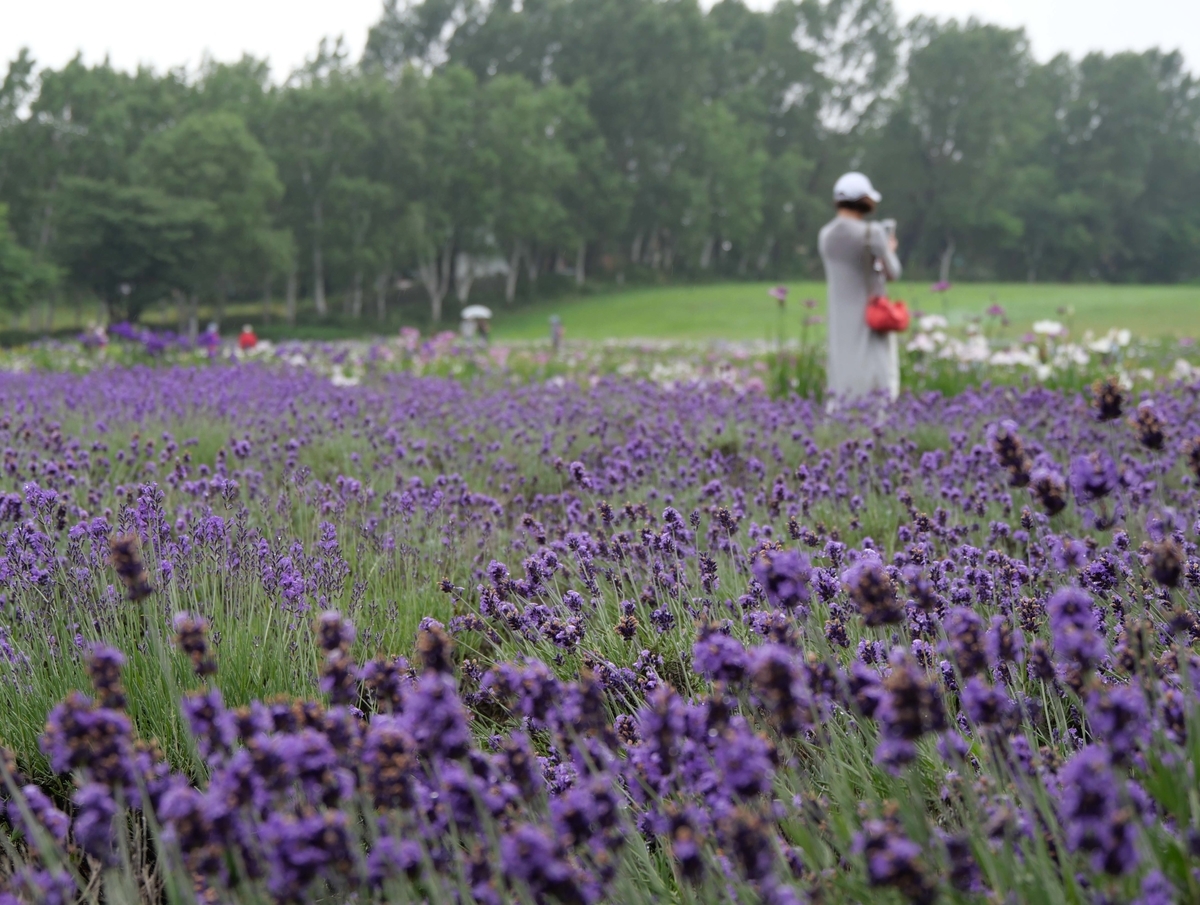 f:id:tamayoshi:20190723210056j:plain f:id:tamayoshi:20190723210056j:plain