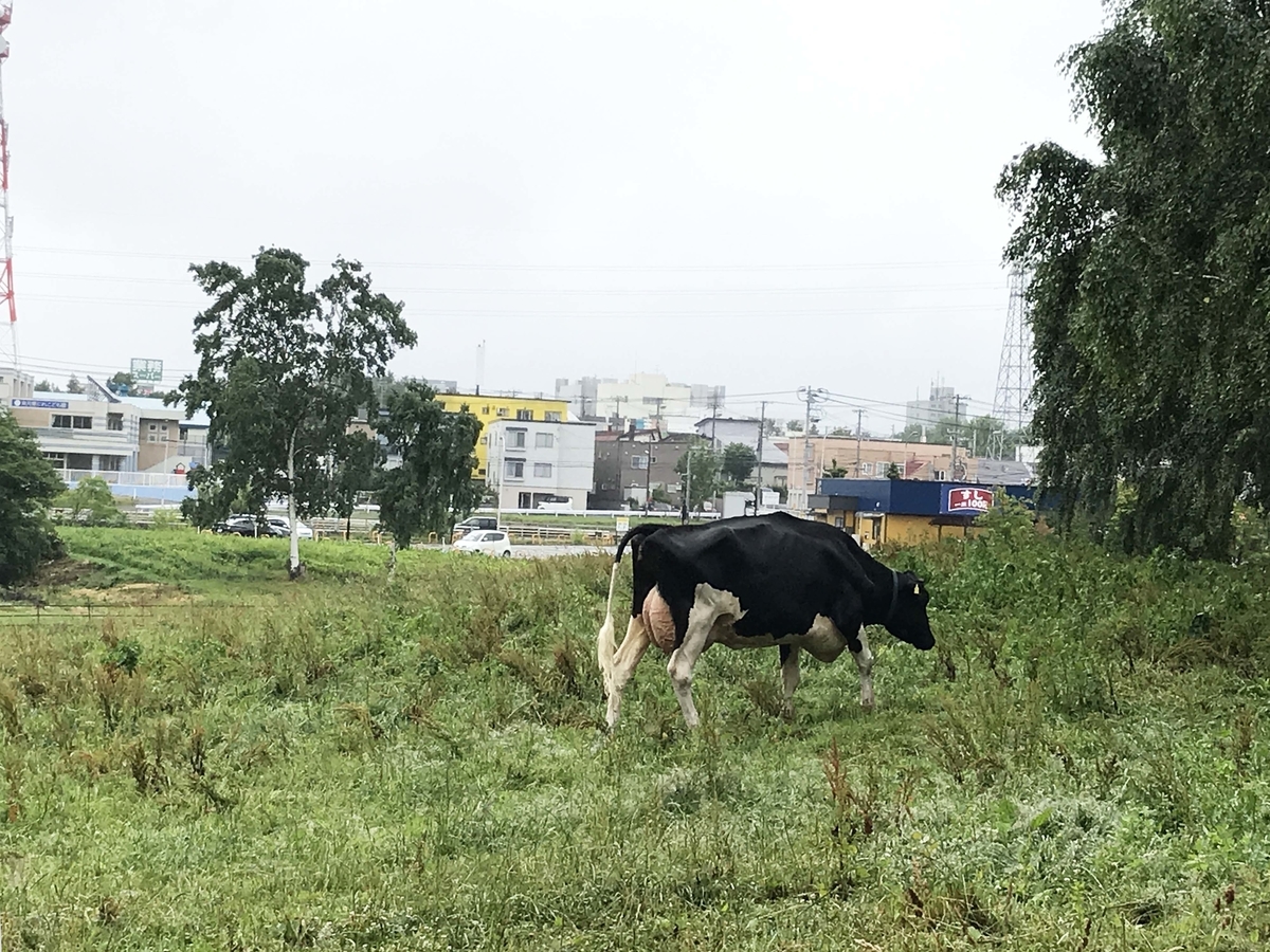 f:id:tamayoshi:20190724194641j:plain f:id:tamayoshi:20190724194641j:plain