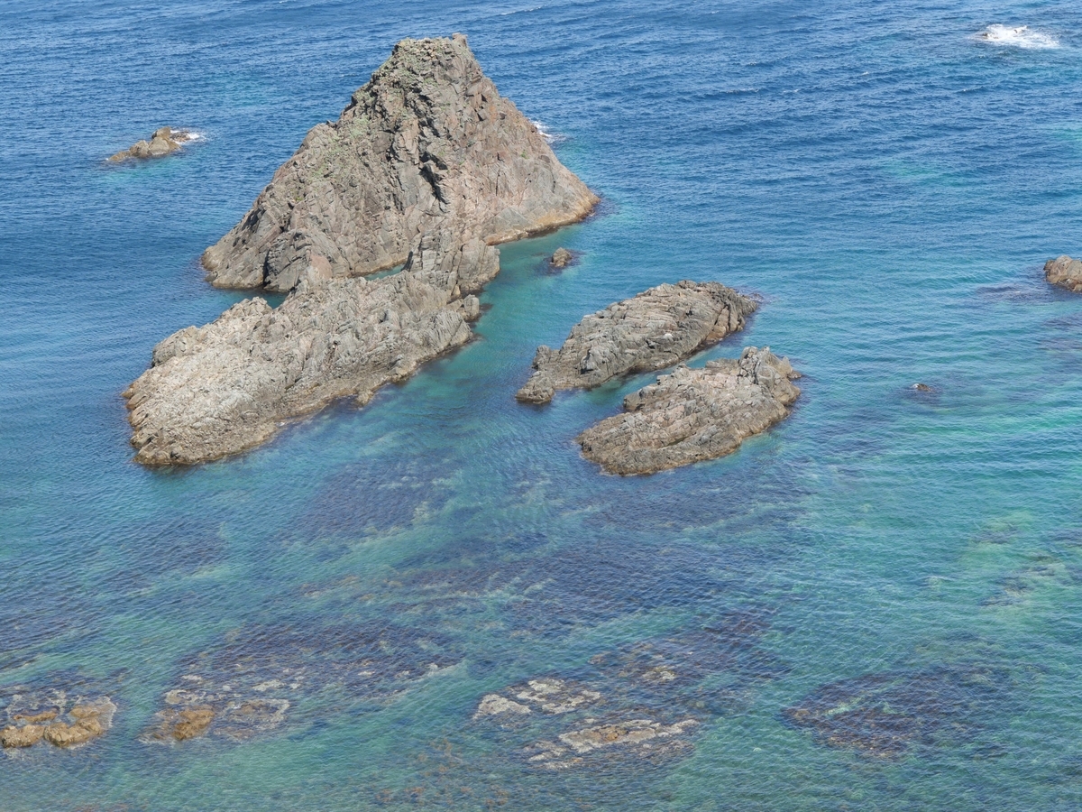 f:id:tamayoshi:20190804114727j:plain f:id:tamayoshi:20190804114727j:plain