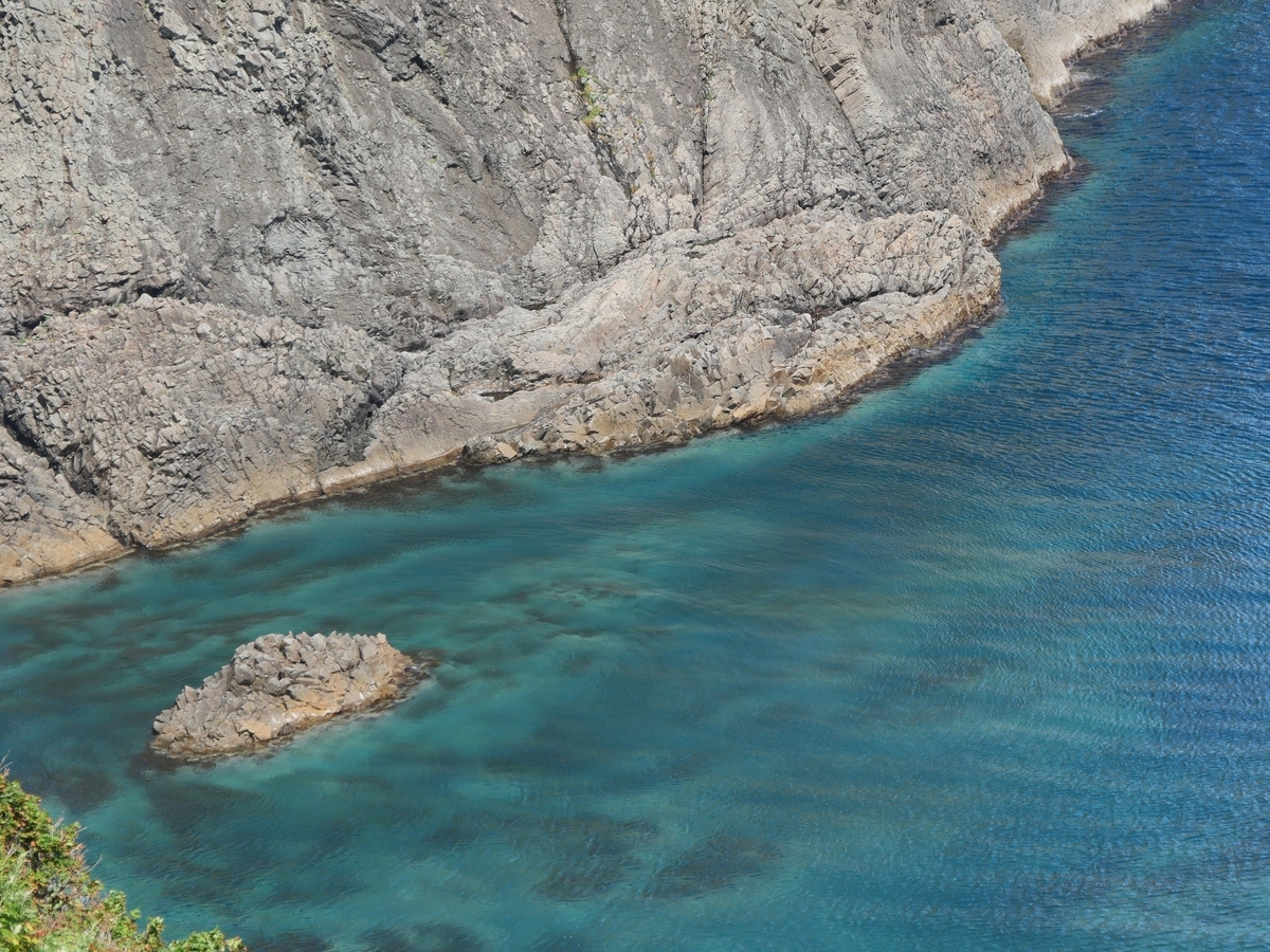 f:id:tamayoshi:20190804114838j:plain f:id:tamayoshi:20190804114838j:plain