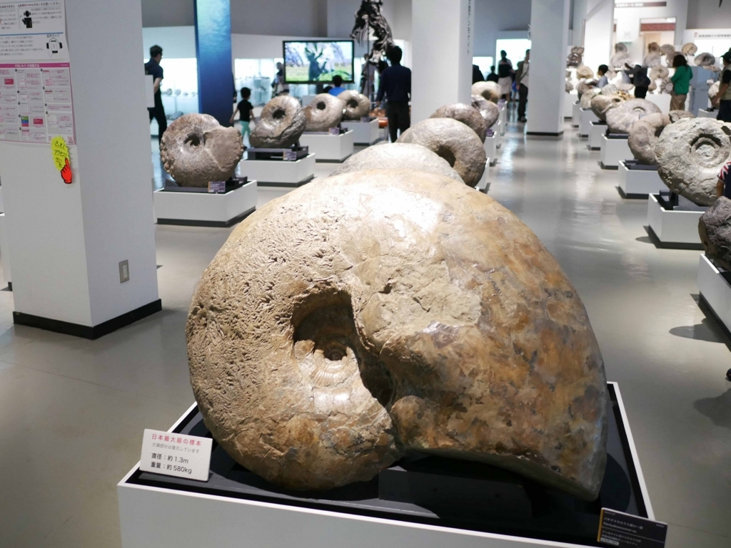 よくわかる「北海道の恐竜」 - どさんこカメラ