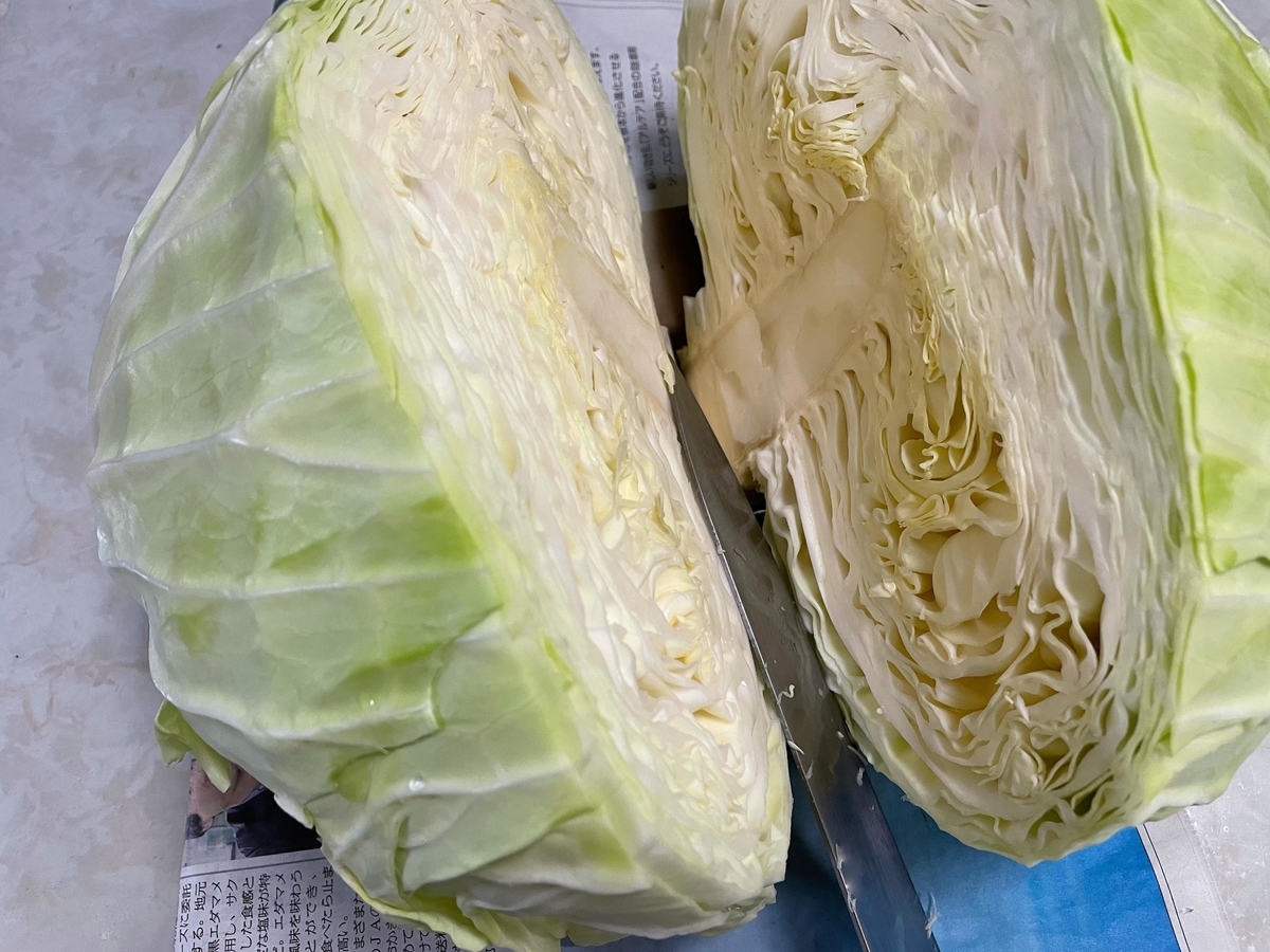 f:id:tamayoshi:20211107144042j:plain