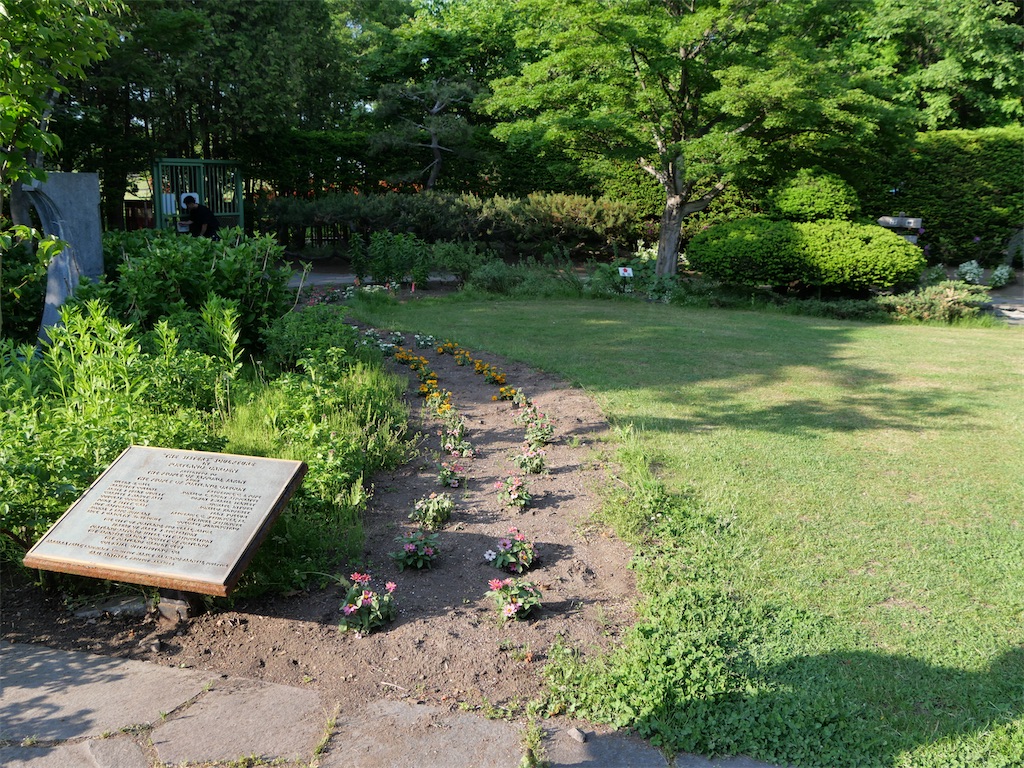 f:id:tamayoshi:20250617194331j:image