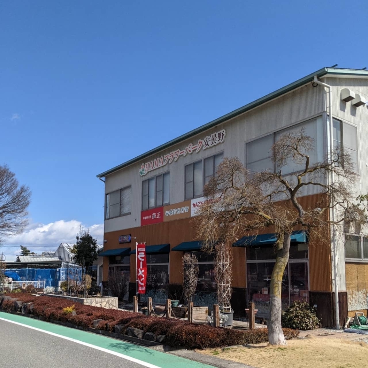 f:id:tamayuiyui:20210319104858j:plain