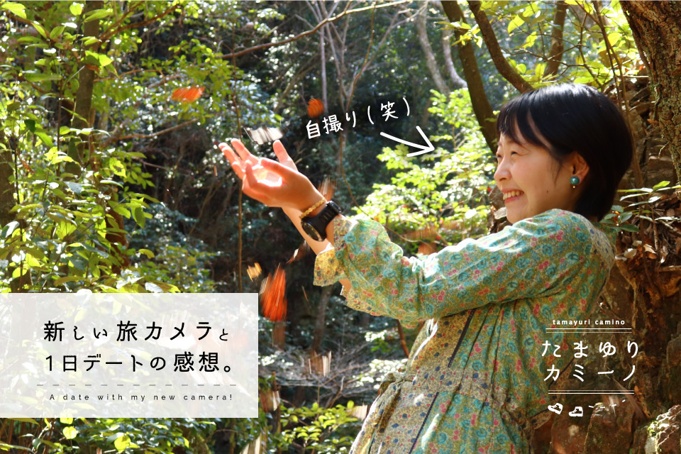 f:id:tamayuri0123:20190318221848j:plain f:id:tamayuri0123:20190318221848j:plain