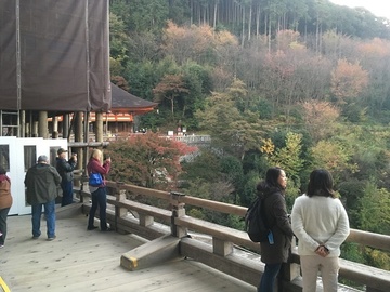 171110_008.JPG