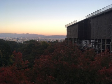 171110_010.JPG