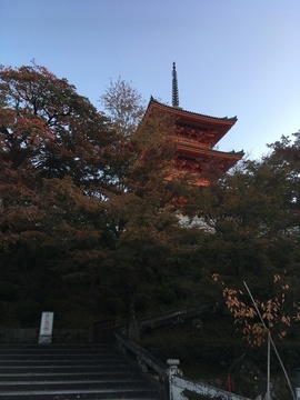 171110_013.JPG