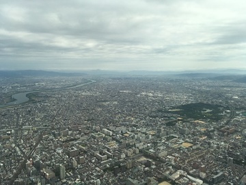 161008_008.JPG