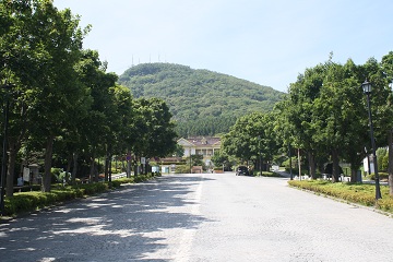 120729_027.JPG