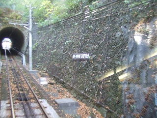 101121_034.JPG