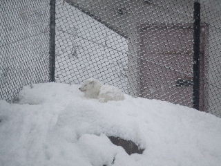 091212_034.JPG