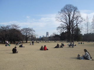080309_gyoen005.JPG