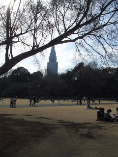 080309_gyoen006.JPG
