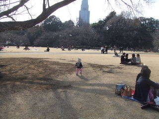 080309_gyoen007.JPG
