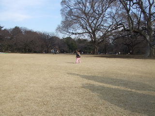 080309_gyoen009.JPG