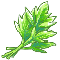 するるのおめぐ実はセルライトに効果ある するるのおめぐ実の口コミ