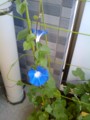 20090819183335