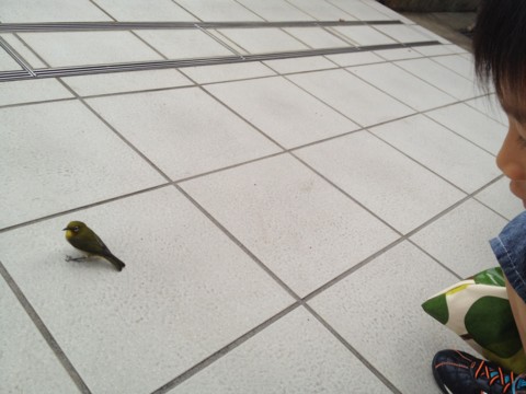 f:id:tamekko:20120620073118j:image