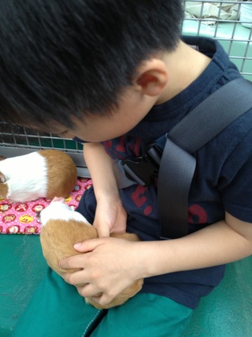 f:id:tamekko:20130427144759j:plain