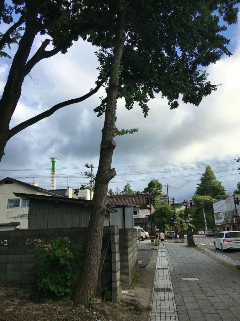 f:id:tamekko:20160828165746j:plain