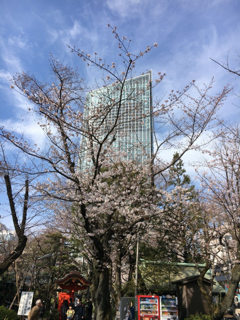 f:id:tamekko:20170409141005j:plain:w400