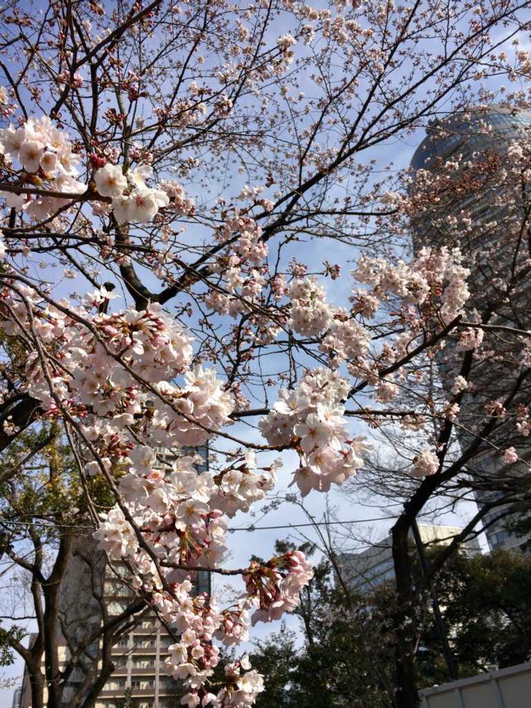 f:id:tamekko:20170409141019j:plain:w400