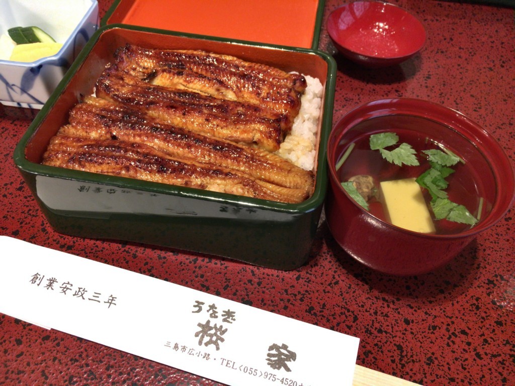 f:id:tamekko:20180109231025j:plain