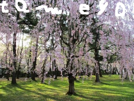 f:id:tameyo:20180501145148j:plain f:id:tameyo:20180501145148j:plain