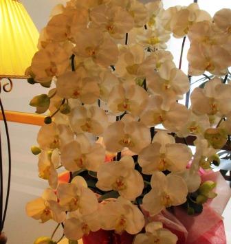 f:id:tameyo:20181008220023j:plain
