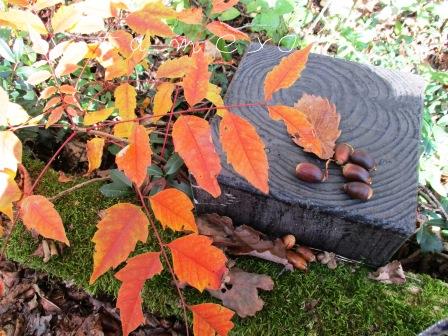 衣類の捨て方・断捨離･片づけ