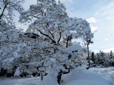 スノーシューズ・玄関・靴箱