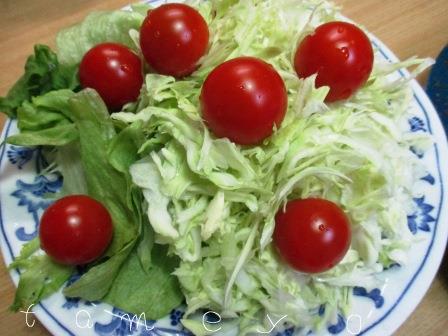 食費の節約に家庭菜園は役立つ