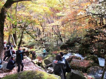 十和田八幡国立公園