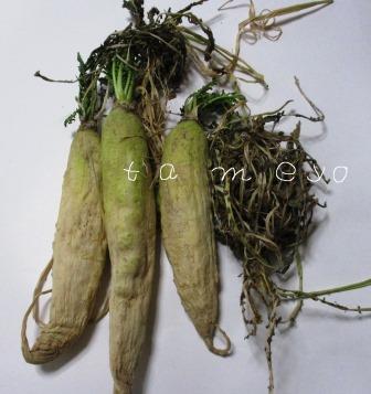 干し大根