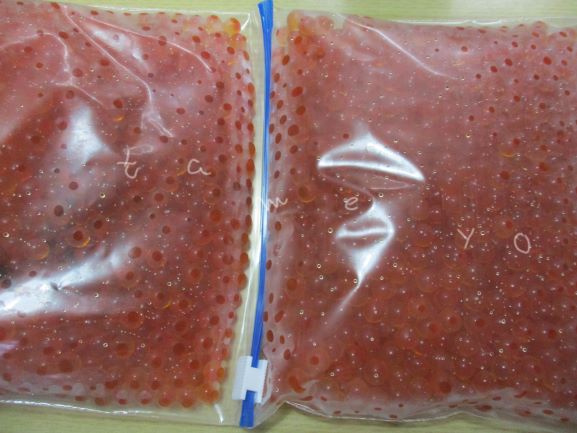 いくらご飯・いくら