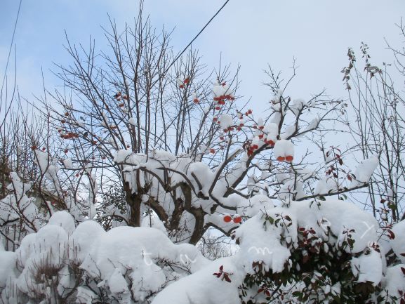 生活保護の謎・生活保護