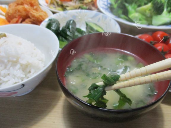 春の山菜 タラの芽やコゴミ アザミを料理 美味でデトックス効果も 貯め代のシンプルライフと暮らしのヒント 春の山菜 タラの芽やコゴミ アザミを料理 美味でデトックス効果も 貯め代のシンプルライフと暮らしのヒント