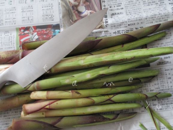 ネマガリダケの食べ方
