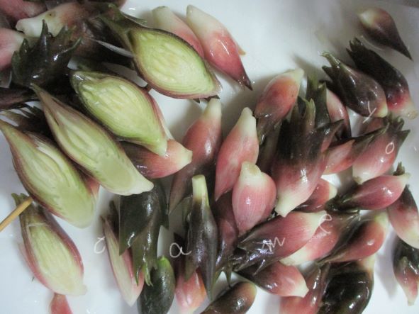 みょうがの作りおきレシピ 甘酢漬けや粕漬け 甘みそ焼きみょうが 貯め代のシンプルライフと暮らしのヒント