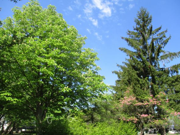 夫が死ぬ前に確認すべき10のコト