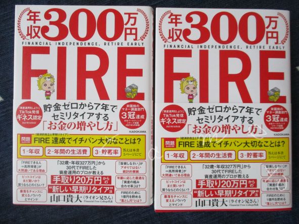 年収300万円FIRE
