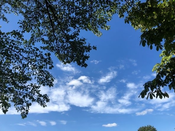 シニアの健康・食事・運動