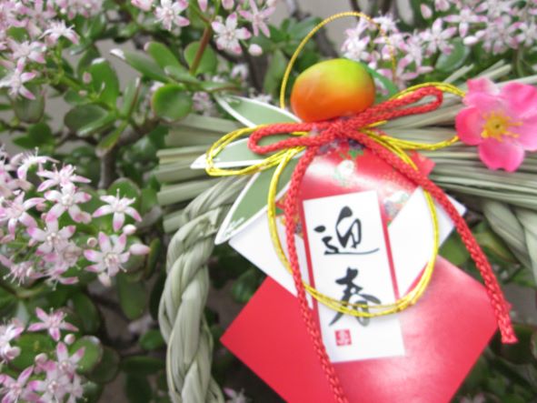 金のなる木・おせち