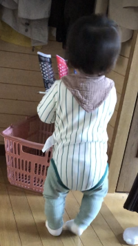 ごみ屋敷のゴミ撤去費用