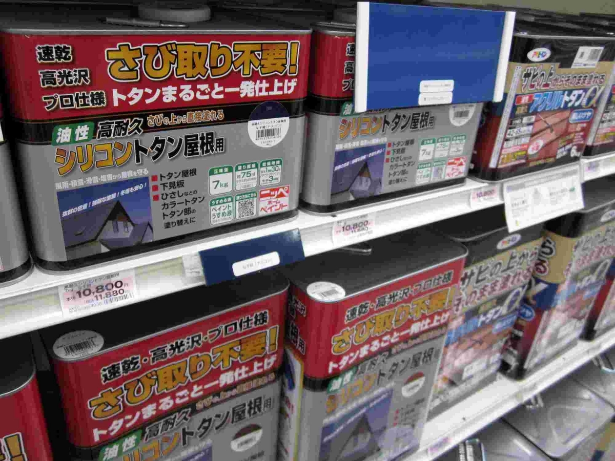 DIYで屋根のペンキ塗り!ハシゴを抑える係も一苦労です - 貯め代の 